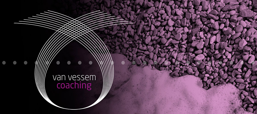 Van Vessem Coaching - Stress kost energie